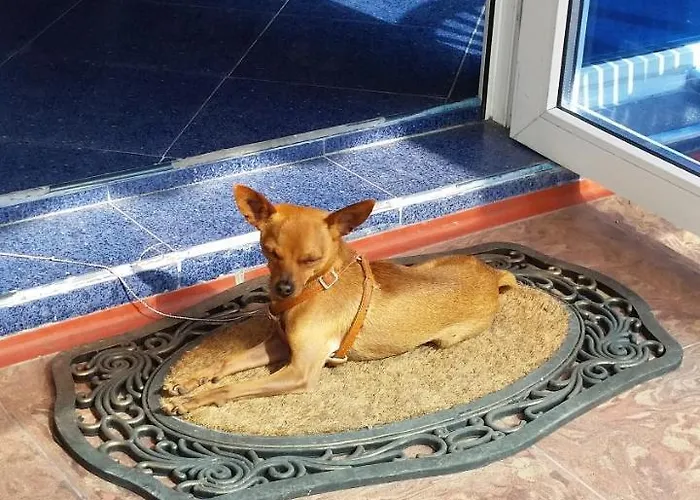 Dara Ξενοδοχείο Πριμόρσκο