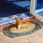 Dara Hotel Primorsko